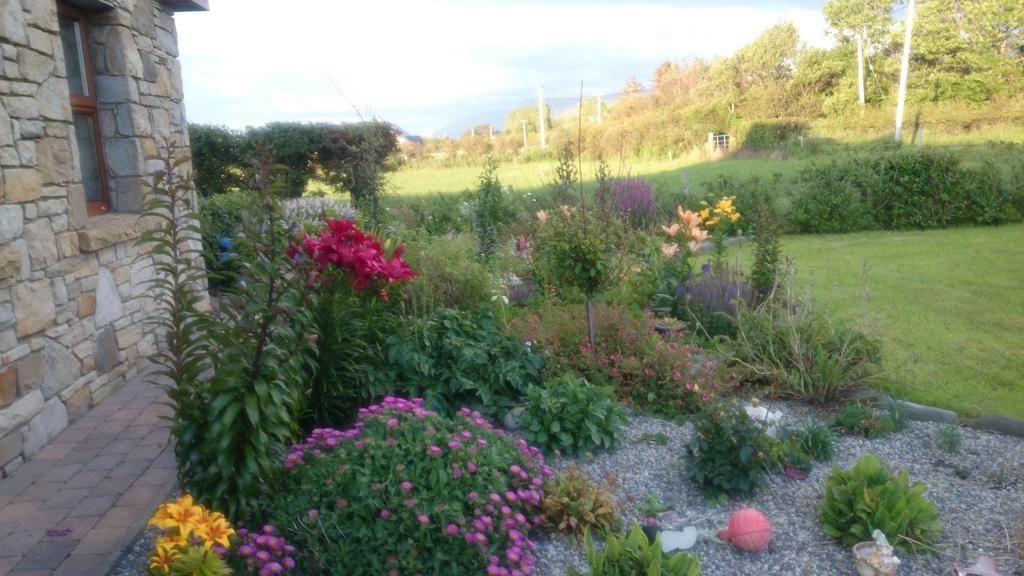 Atlantic Way B&B Grange (Sligo) Exterior foto