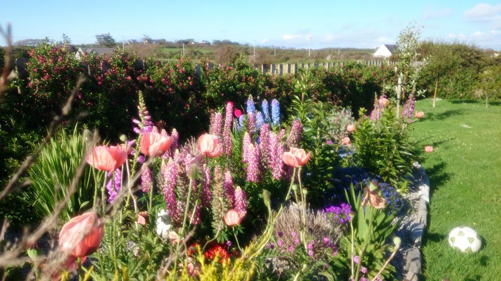 Atlantic Way B&B Grange (Sligo) Exterior foto