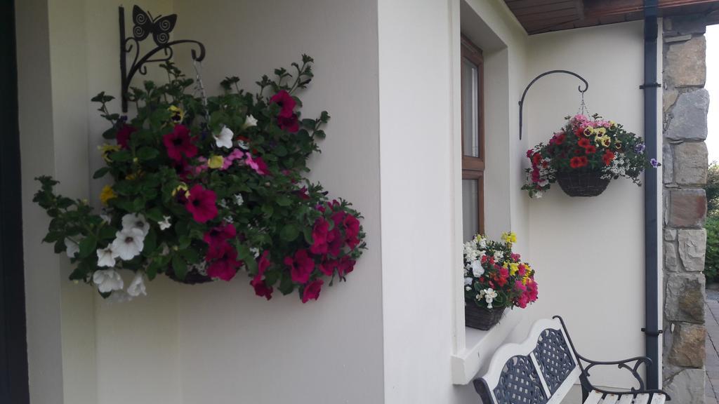 Atlantic Way B&B Grange (Sligo) Exterior foto