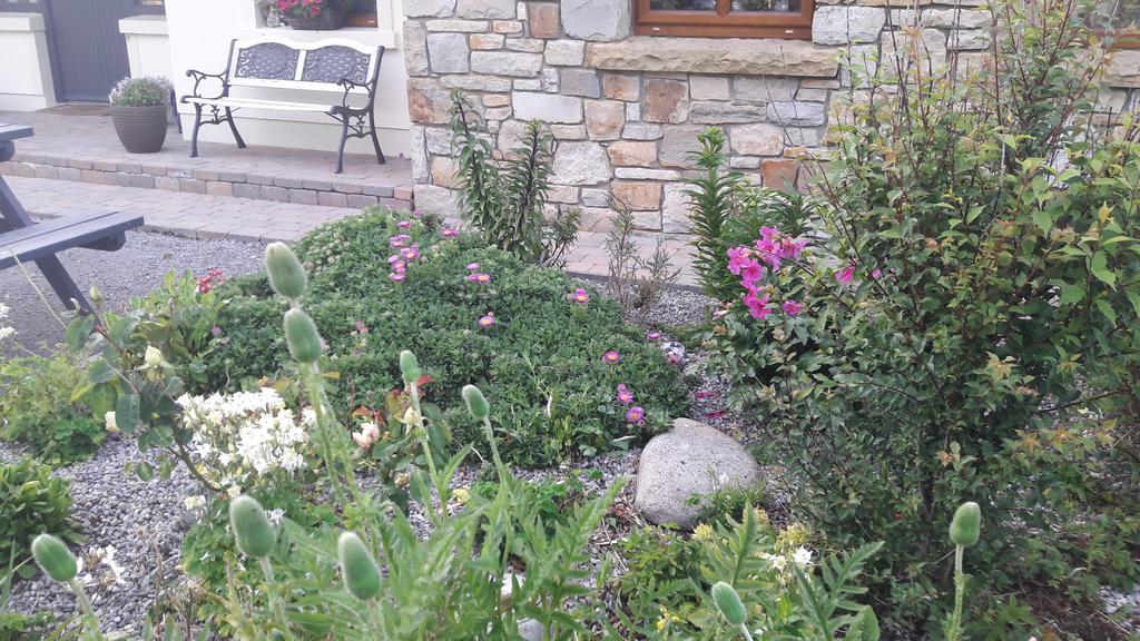Atlantic Way B&B Grange (Sligo) Exterior foto