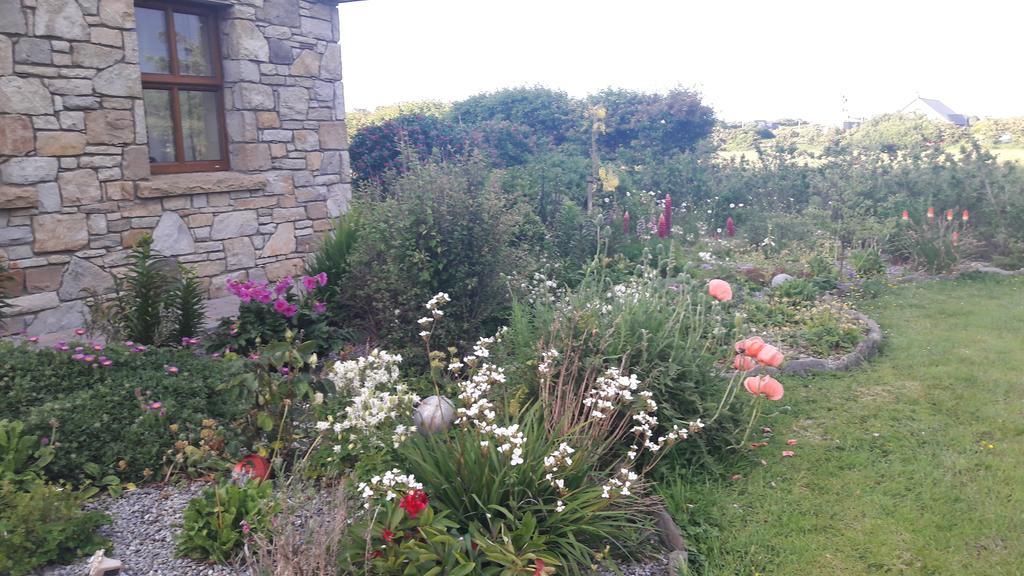Atlantic Way B&B Grange (Sligo) Exterior foto