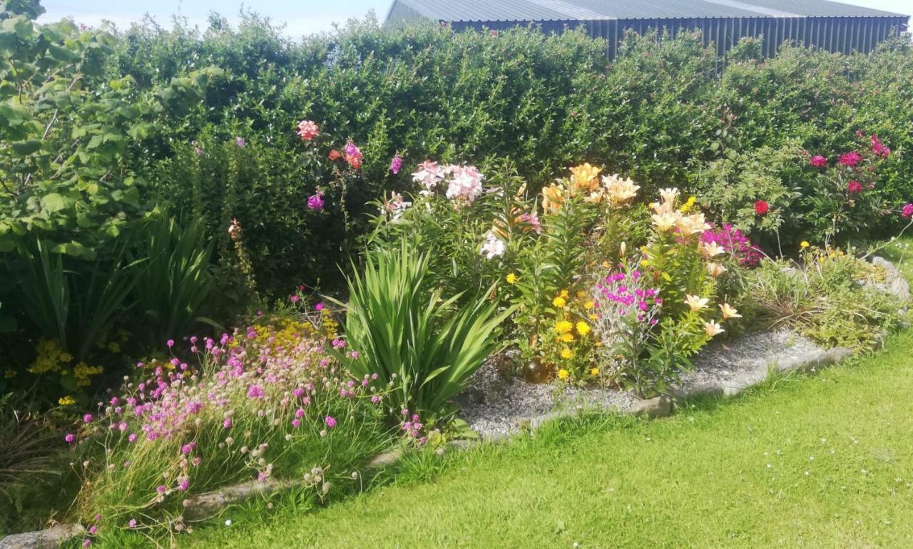Atlantic Way B&B Grange (Sligo) Exterior foto
